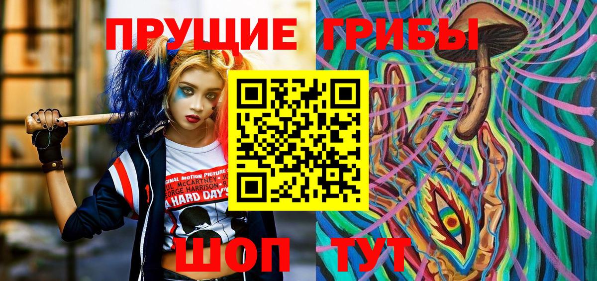 купить   Вход с VPN  Богданович  Галлюциногенные грибы Psilocybe 