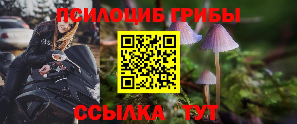 Галлюциногенные грибы Psilocybine cubensis Богданович
